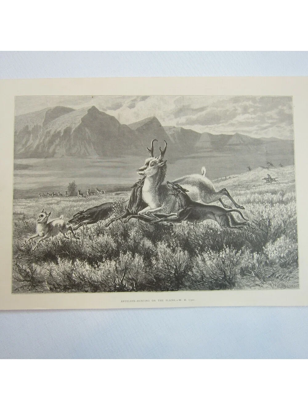 Antique 1874 Engraving Print Antelope-Hunting on the Plains, WM Cary, The Aldine